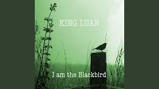 I Am the Blackbird