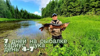 Рыбалка в Архангельской области. Хариус, щука. Часть 2.