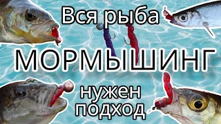 Мормышинг. Вся рыба , нужен подход