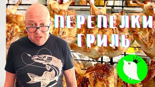 Перепёлки гриль. По кавказски. Смотри, пальцы не откуси. Рецепт от МОИ perepela