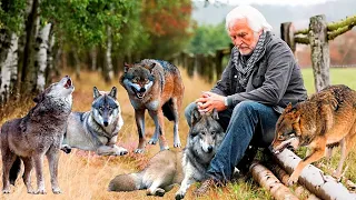 A man helped a dying wolf. But then something terrible happened!