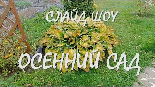 ПРИМЕР Слайд шоу  Осенний сад