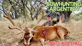 ARGENTINA BOWHUNTING ADVENTURE, PART 1: RED STAG with a SEVR 1.75 Broadhead