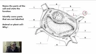 GR 10 Review for Grade 10 Biology Culminating Task (Science Video Tutorial)