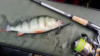 Ловля окуня 2019. Bass (perch) fishing 2019. Летняя рыбалка окуня.