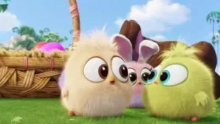 The Angry Birds: Easter Greetings from the Hatchlings | ScreenSlam