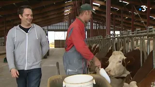 Agriculteurs: quand l'amer est dans le pré.