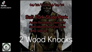 Bigfoot Wood Knocks