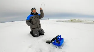 Ice Fishing Early Ice Red Lake 2022