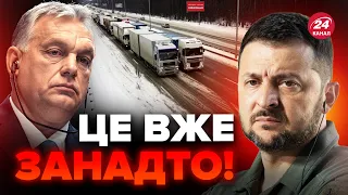 😡Угорці йдуть ШТУРМУВАТИ кордони України / Поліція ДОЗВОЛИЛА МІТИНГ / Яка ситуація з перевізниками?