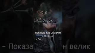 Спокойной ночи! Христианское пожелание!