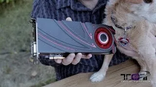 XFX (AMD) R9 290 Unboxing & Review - Best Video Card for the Money?