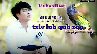 txiv lub qub zog by lis kub hawj nkauj tshiab