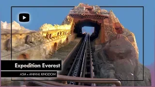 Expedition Everest (Full Ride) POV, Animal Kingdom, Walt Disney World
