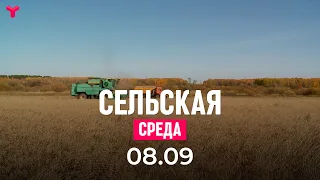 Сельская среда 08.09.2021