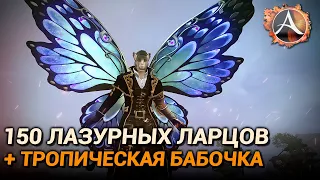 ArcheAge 9.5. 150 лазурных ларцов. Крылья "Тропическая бабочка"