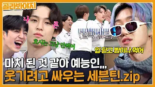 [세븐틴] 웃수저 손오공들💎 극딜마저 웃긴 사이좋은 개그틴 | 할명수 외