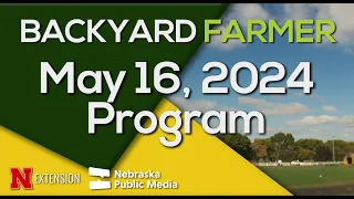 Backyard Farmer May 16, 2024