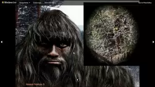 Bigfoot - Amazing Bigfoot Pics! Theories, Movies, Sas Birth, Mark Parra, Infrasound real or bunk?