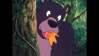 The Jungle Book Multilingual Intro