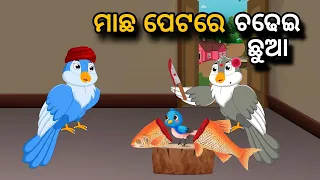 Machha Petare Chadhei Chhua |Tiki Chadhei gapa | birds story | moral story | odia gapa | odia kahani