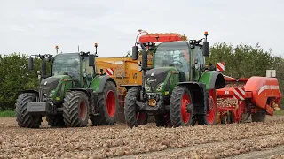 Onions Loading | Uien Laden | Grimme GZ 1700DL1 | Fendt 720 + Fendt 724 + Case Puma CVX 240