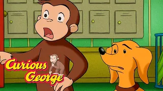 Scaredy Dog 🎃 Curious George 🐵 FULL EPISODE 🐵 Kids Cartoon 🐵 Videos for Kids