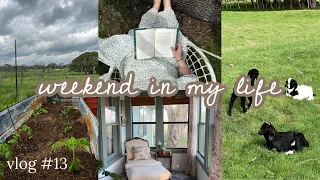 what a weekend living on a family ranch is like - gardening | plant shopping | chicken coop refresh