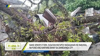 Regional TV News: Isang senior citizen, sugatan matapos madaganan ng puno sa Zamboanga City