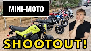 Grom, Monkey, Super Cub, Metropolitan, PCX, Trail, Ruckus, ADV150 - Best Mini Moto Comparison Test