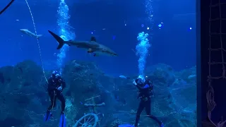 The Adventure Aquarium