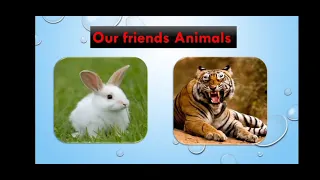 KEMS KOPPAM CLASS III EVS CHAPTER 19 OUR FRIENDS ANIMALS