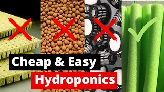 Cheap & Easy DIY Hydroponics | Ditch the expensive stuff for a $1 Pool Noodle