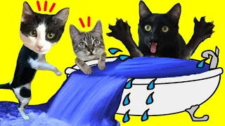 Gatos Luna y Estrella solos en casa CAP 5 ¿Primer baño sin Lola? / Videos de gatitos
