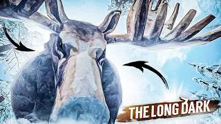 ОГРОМНЫЙ КРОВОЖАДНЫЙ ЛОСЬ! ПРОХОЖДЕНИЕ THE LONG DARK #24