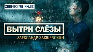 Вытри слёзы (Shreds Owl Remix 2020) | Александр Закшевский