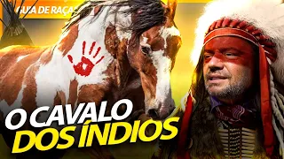 PAINT HORSE, O VERDADEIRO CAVALO DOS ÍNDIOS APACHE! | RICHARD RASMUSSEN