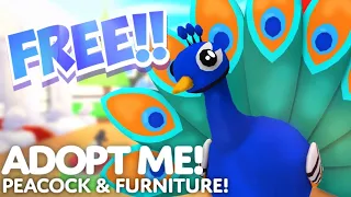 How To Get A FREE PEACOCK In Adopt Me!! (Roblox)