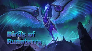 All Birds in Legends of Runeterra (Champions Excluded)