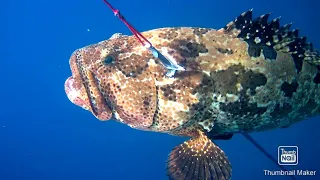 FIRST BLOOD of my NEW REEL LINE 😇 -  Boracay Spearfishing || Gabby Ramal