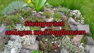 Steingarten anlegen, bepflanzen und pflegen. Sukkulenten sind optimal.