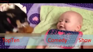 Hunden, die beste Freunde der Menschen und die Babys. TopTen Comedy Show°