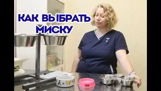 Какие миски нельзя покупать или как выбрать миску собаке, кошке.