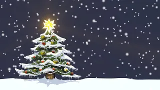 Christmas tree in snow|FOOTAGE