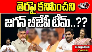 YS Jagan Team In BJP | YSRCP | TDP | AP Election 2024 | AP Politics | AP News | Wild Wolf Telugu