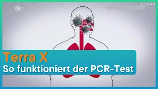 Terra X: Wie funktioniert der PCR-Test?