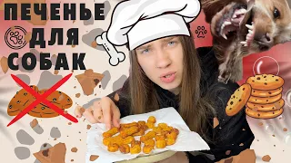 РЕЦЕПТ ПЕЧЕНЬЯ ДЛЯ СОБАК | ЭТО ТАК ПРОСТО?🐶🍪