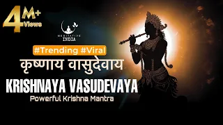 KRISHANAYA VASUDEVAYA 108 Times | POWERFUL Krishna Mantra for Inner Peace | Listen for a Sound Sleep