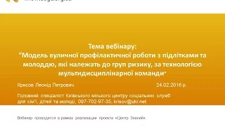 Вебинар «Модель уличной профилактической работы с подростками и молодежью»