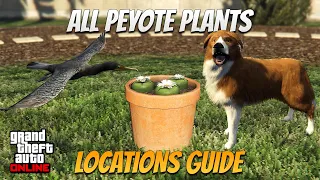 All 76 Peyote Plants Locations in GTA Online [Transform into an Animal]